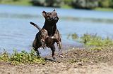 STAFFIE 141